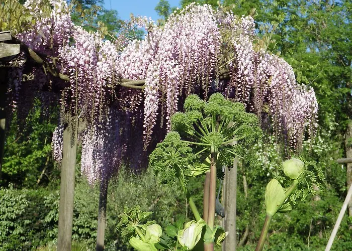 Bed and Breakfast D'hotes Le Moulin Bessines