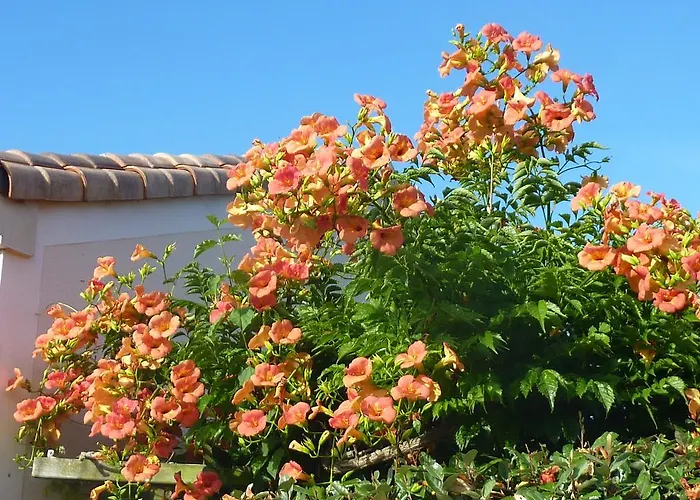 D'hotes Le Moulin Bessines